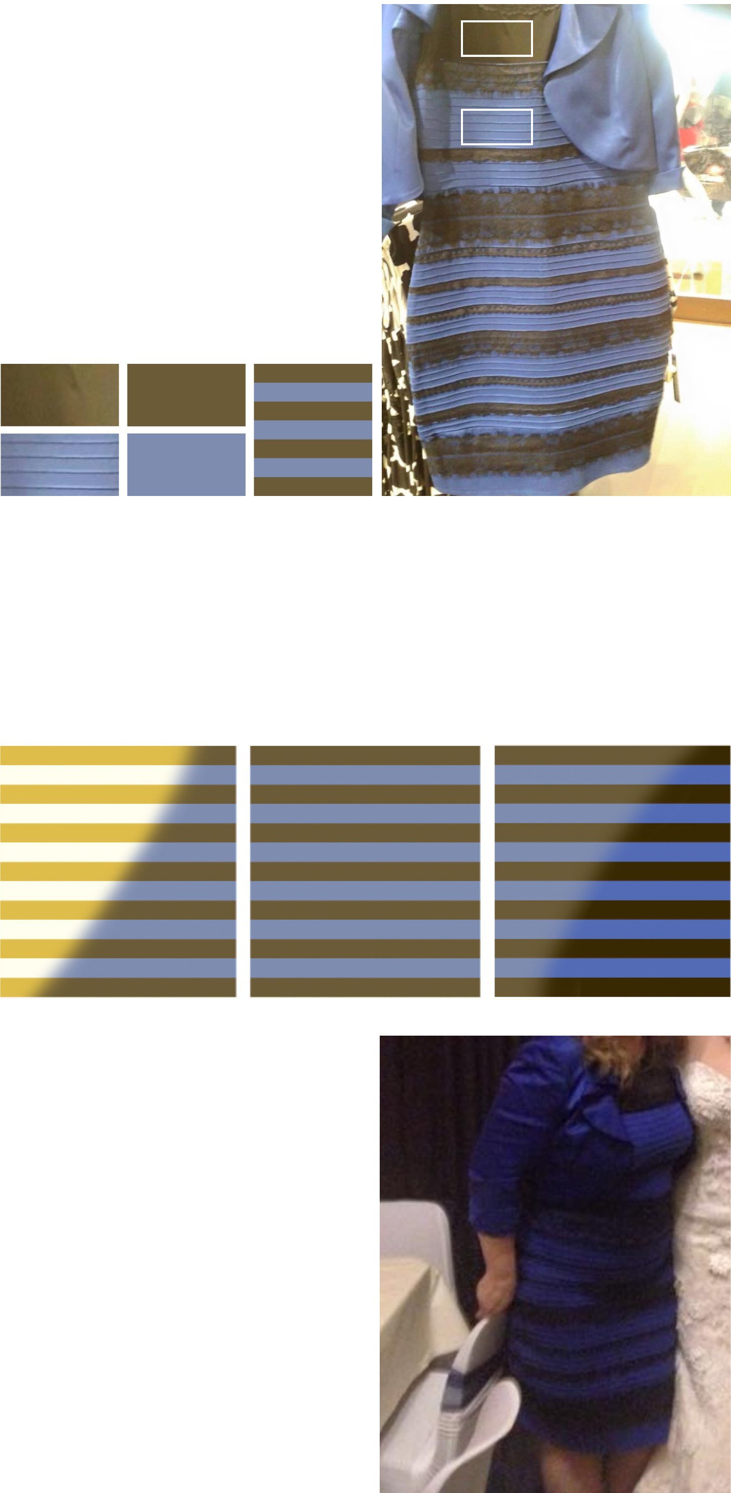White-gold VS black-blue dress nonsense EXPLAINED 3 dress-720