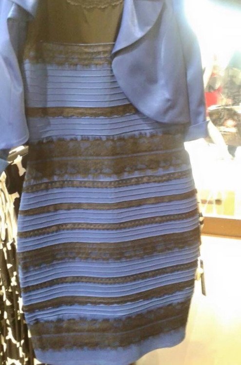 White-gold VS black-blue dress nonsense EXPLAINED 9 tumblr_nkcjuq8Tdr1tnacy1o1_500