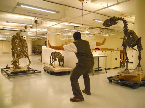I heart #prattkeeping 5 tumblr_nqglug8foG1qewacoo1_r1_500