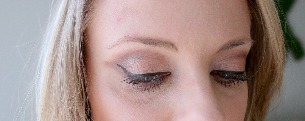 lavish brows review blog