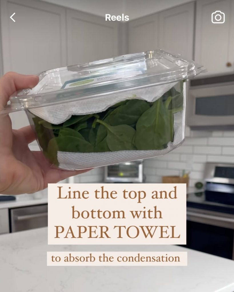 How To Make Spinach Last Longer 3 make spinach last longer